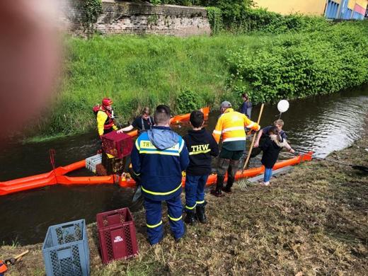 Im Ziel werden die Enten eingesammelt